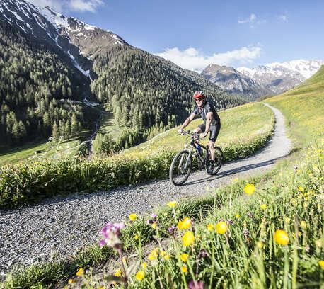 Wählen Sie Ihre Aktivität